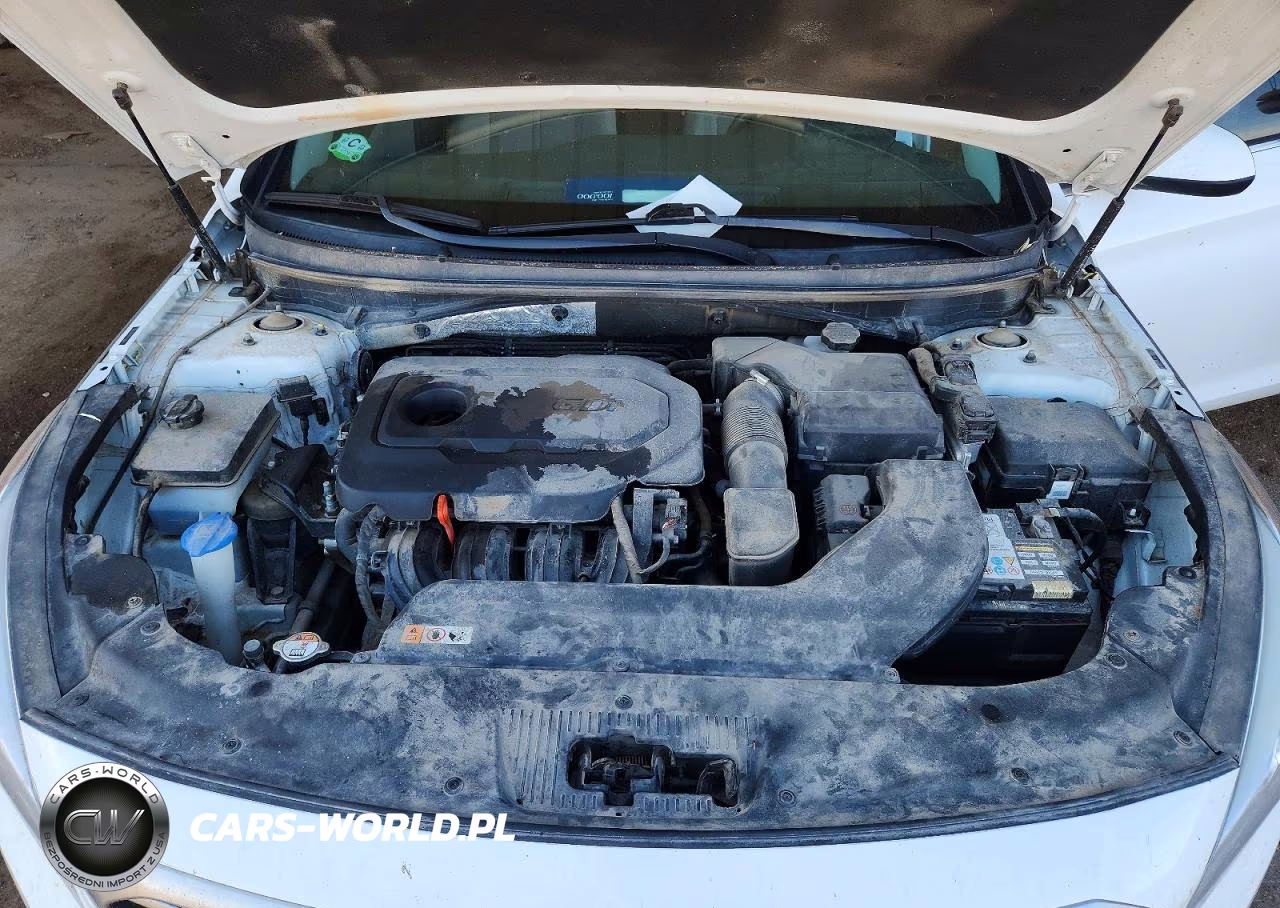 2015 Hyundai Sonata Se VIN:5NPE24AF8FH149665 - 11
