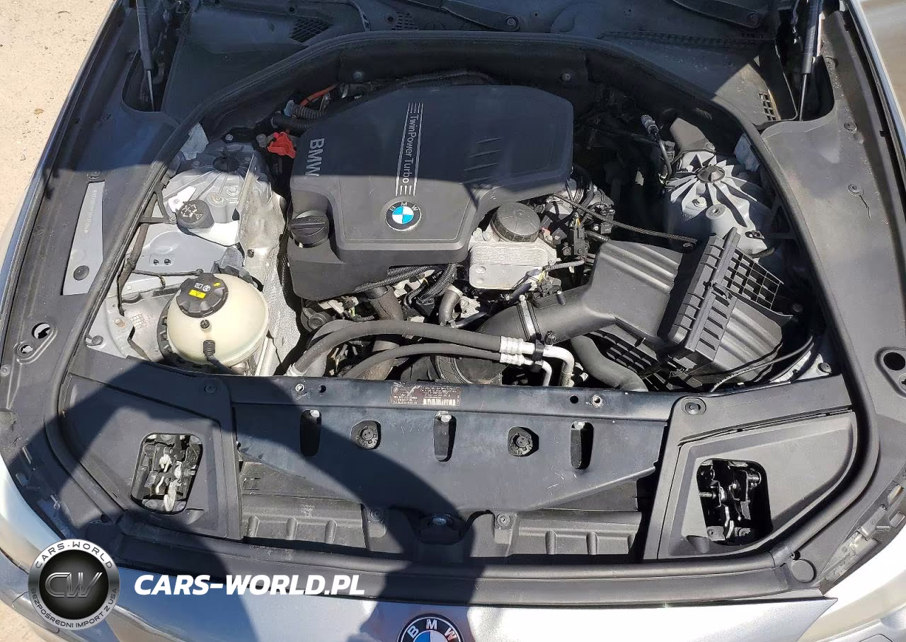 2013 BMW 528 I VIN:WBAXG5C57DDY37094 - 11