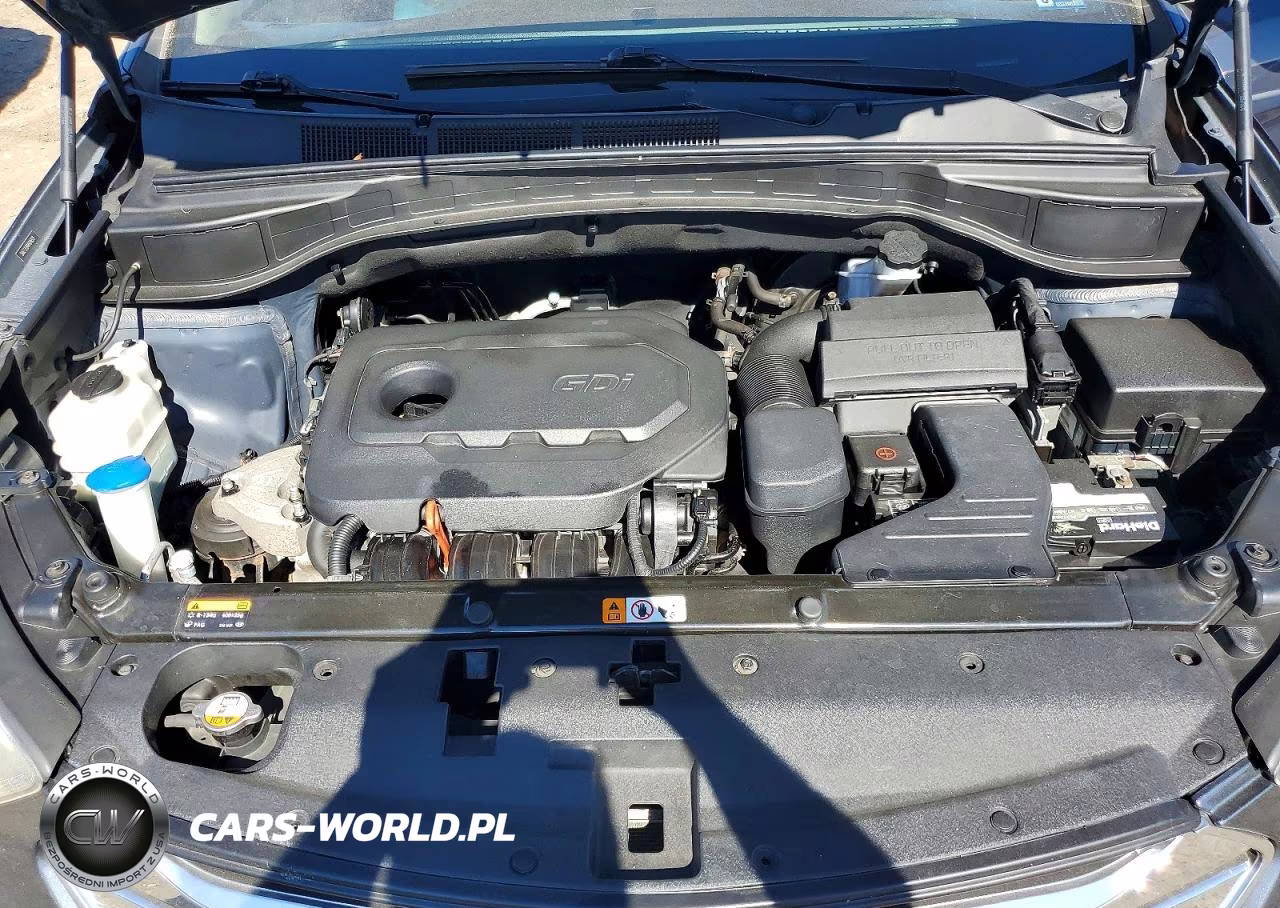 2017 Hyundai Santa Fe Sport 2.4L VIN:5NMZT3LB4HH046519 - 12