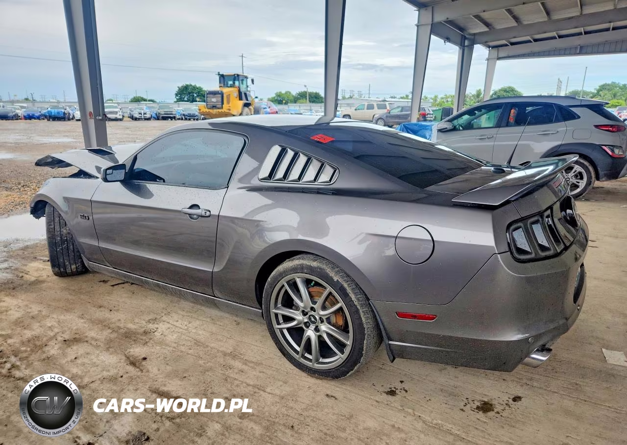 2013 Ford Mustang Gt VIN:1ZVBP8CFXD5281331 - 2