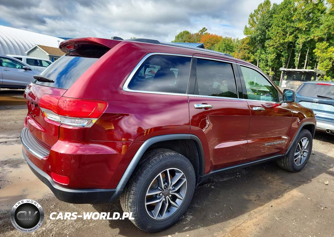 2019 Jeep Grand Cherokee Limited VIN:1C4RJFBG9KC542197 - 3