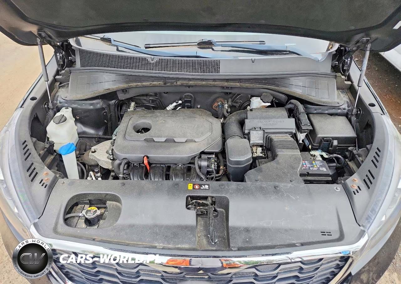 2019 Kia Sorento Lx VIN:5XYPGDA31KG551819 - 12