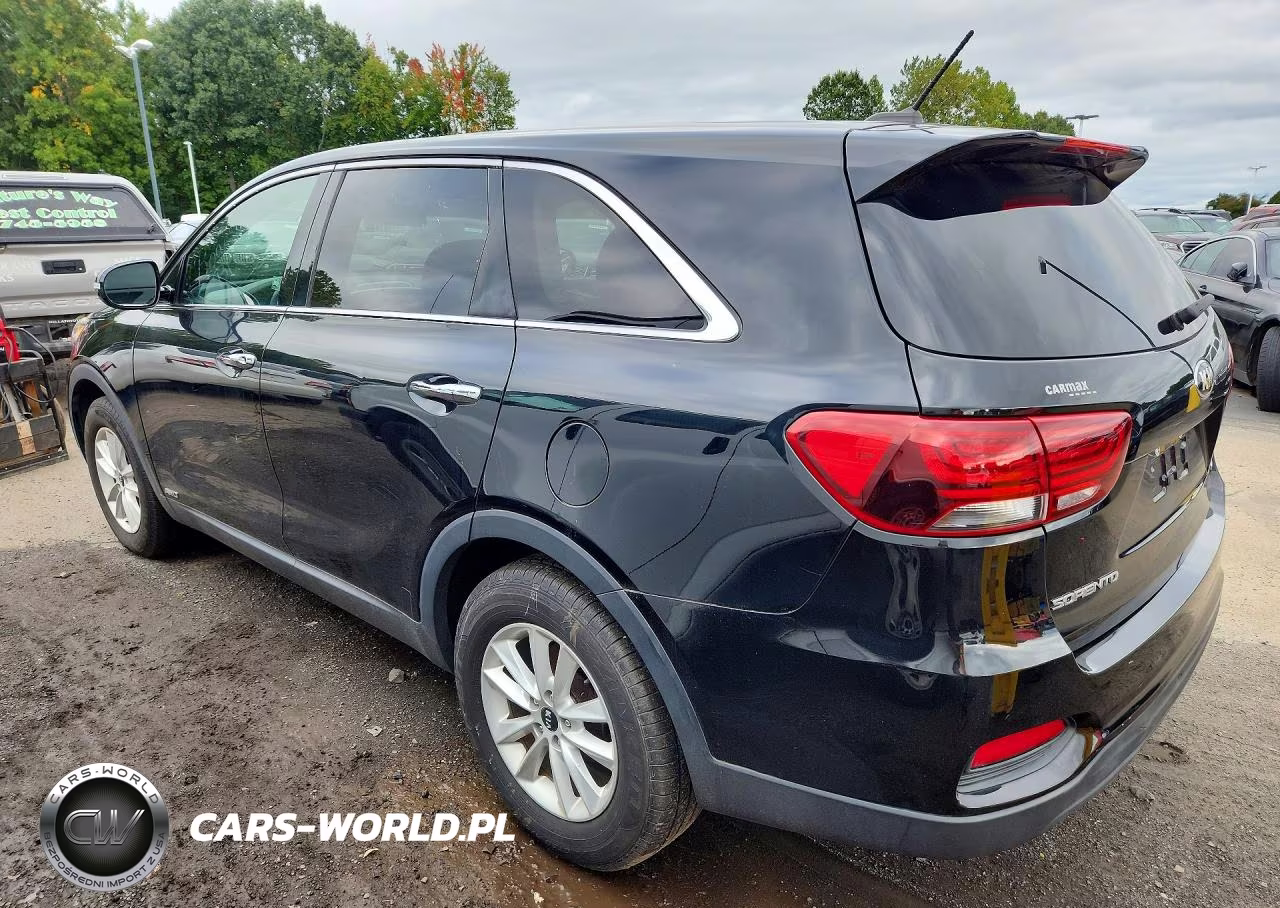 2019 Kia Sorento Lx VIN:5XYPGDA31KG551819 - 2