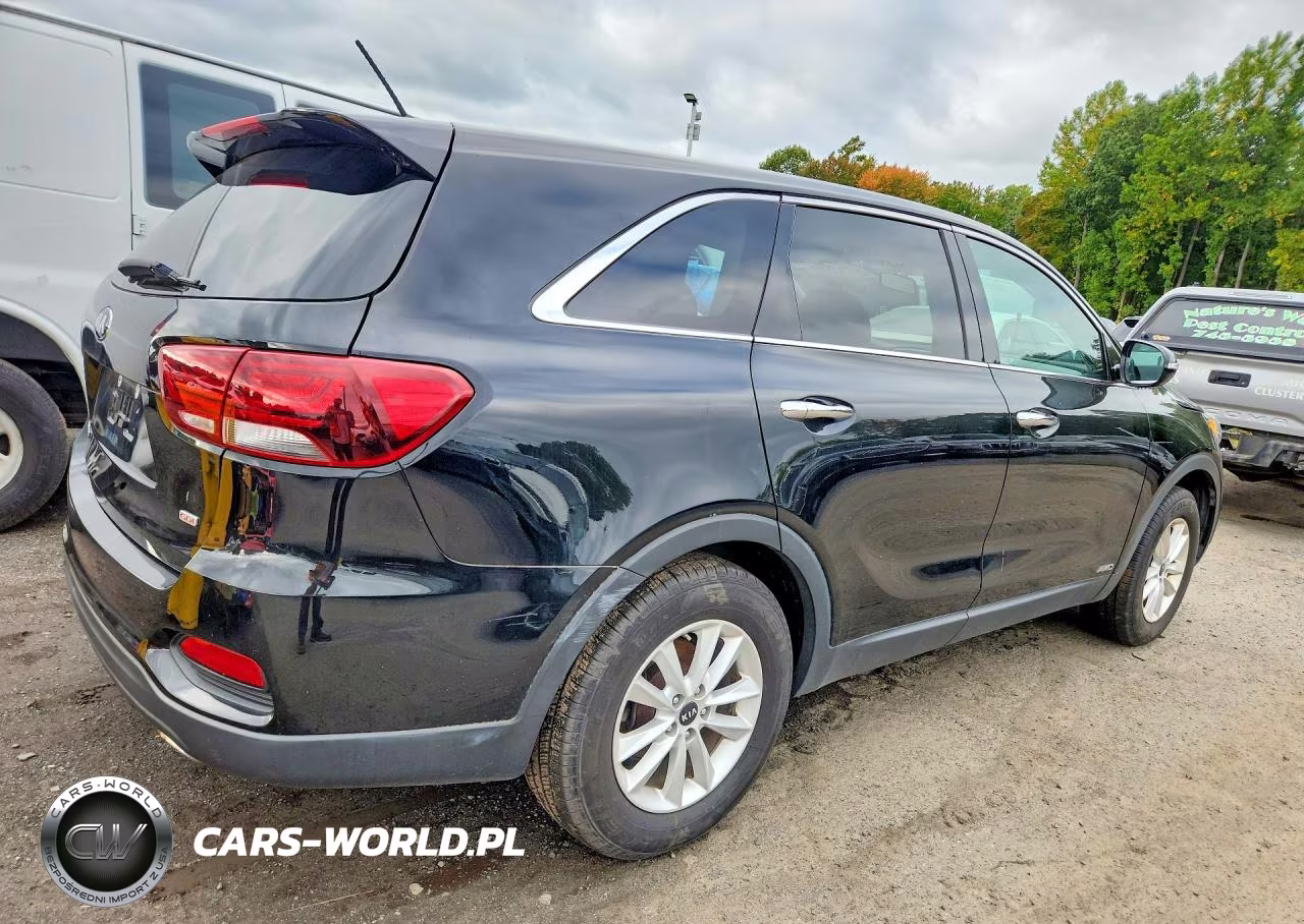 2019 Kia Sorento Lx VIN:5XYPGDA31KG551819 - 3
