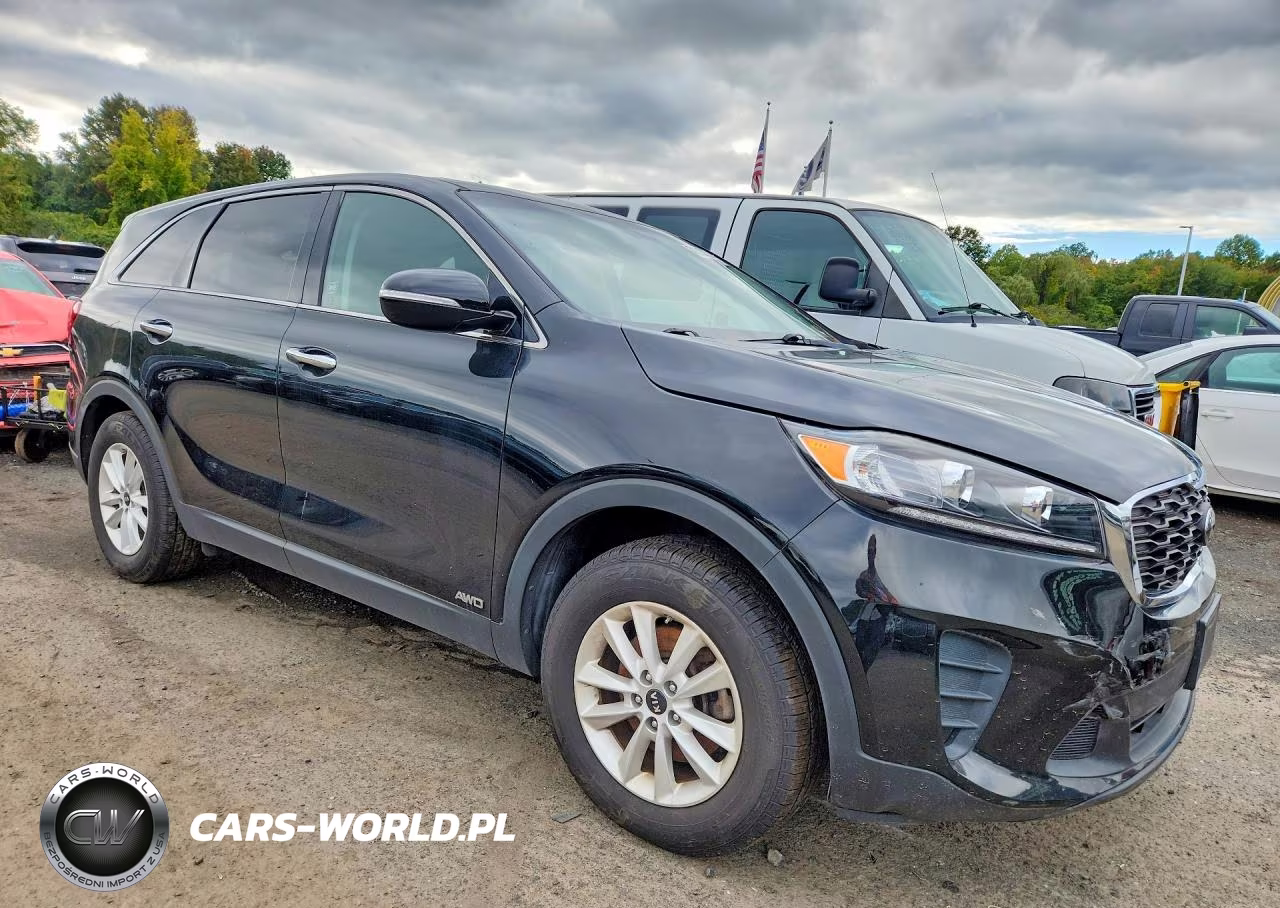 2019 Kia Sorento Lx VIN:5XYPGDA31KG551819 - 4