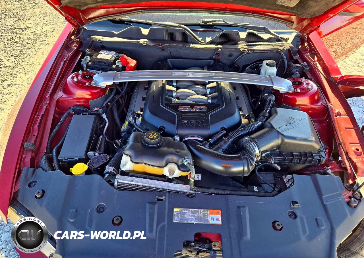 2014 Ford Mustang Gt VIN:1ZVBP8FF2E5333239 - 11