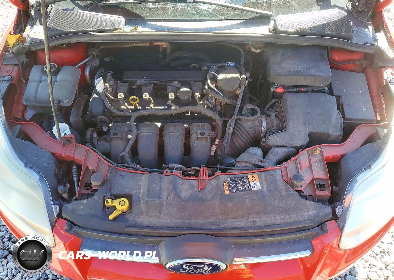 2014 Ford Focus Se VIN:1FADP3F20EL307011 - 11