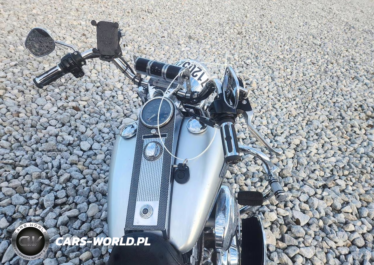 2003 Harley-Davidson Flhrci Anniversary VIN:1HD1FRW4X3Y723764 - 7