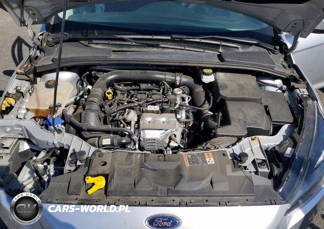 2018 Ford Focus Se VIN:1FADP3FE0JL331510 - 11