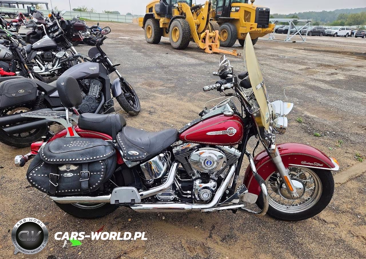 2004 Harley-Davidson Flstci VIN:1HD1BWB104Y087265 - 1