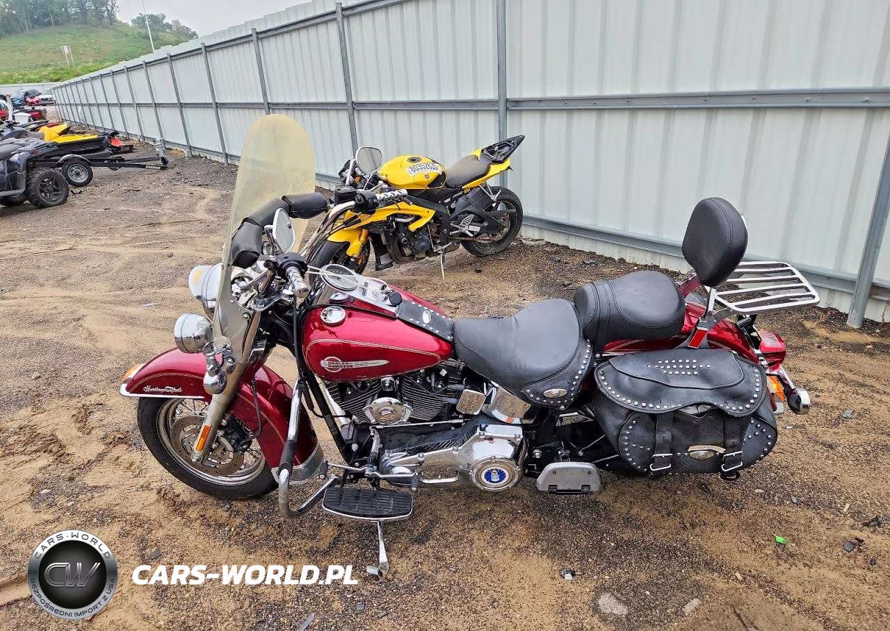 2004 Harley-Davidson Flstci VIN:1HD1BWB104Y087265 - 3