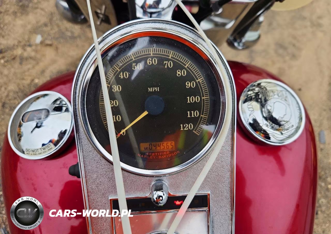 2004 Harley-Davidson Flstci VIN:1HD1BWB104Y087265 - 7