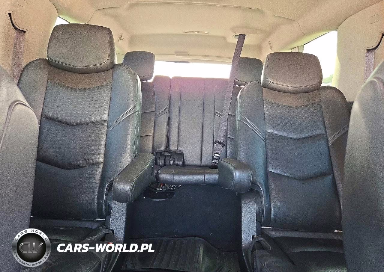 2015 Cadillac Escalade Esv Luxury VIN:1GYS4HKJXFR300421 - 10