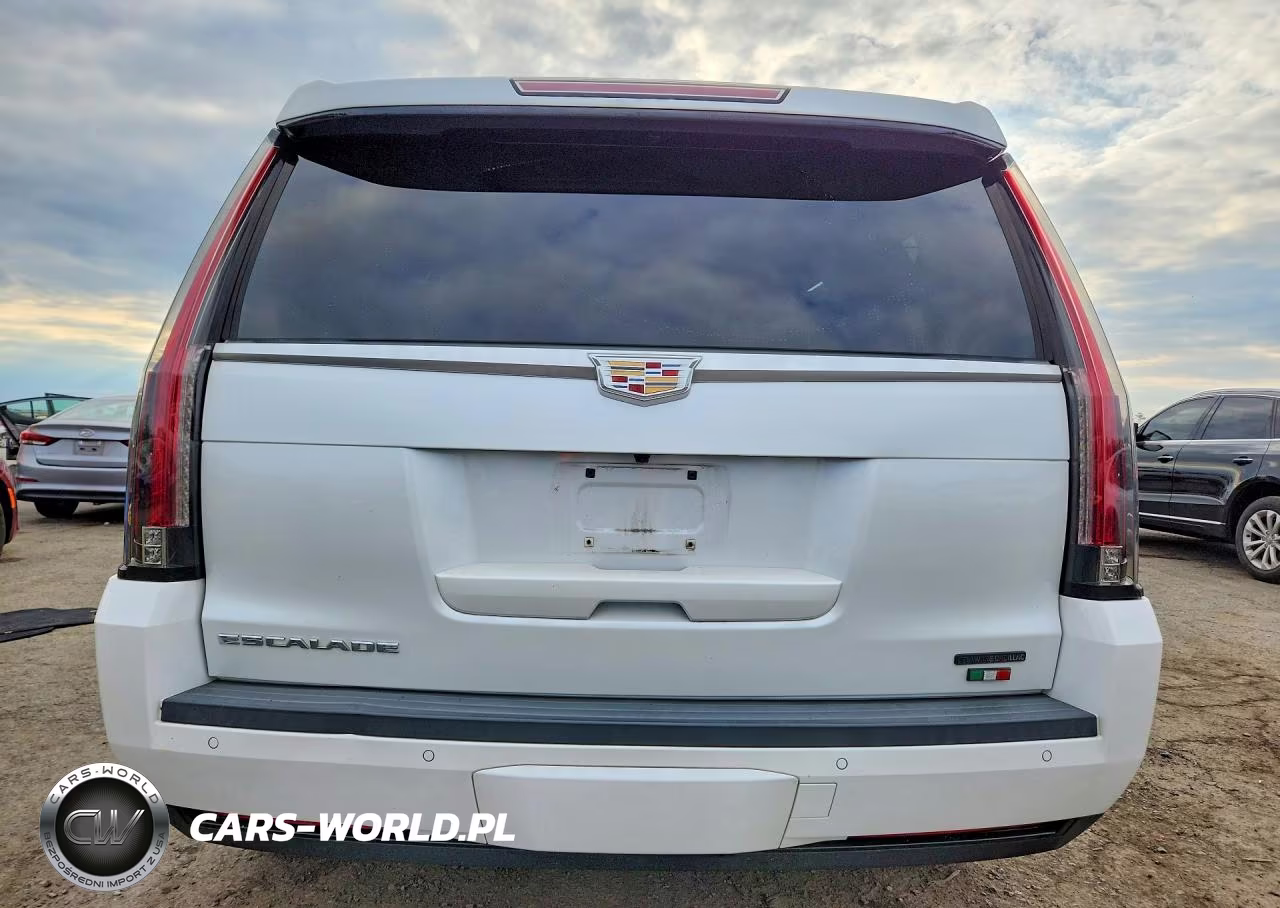 2016 Cadillac Escalade Luxury VIN:1GYS4BKJ8GR288753 - 6