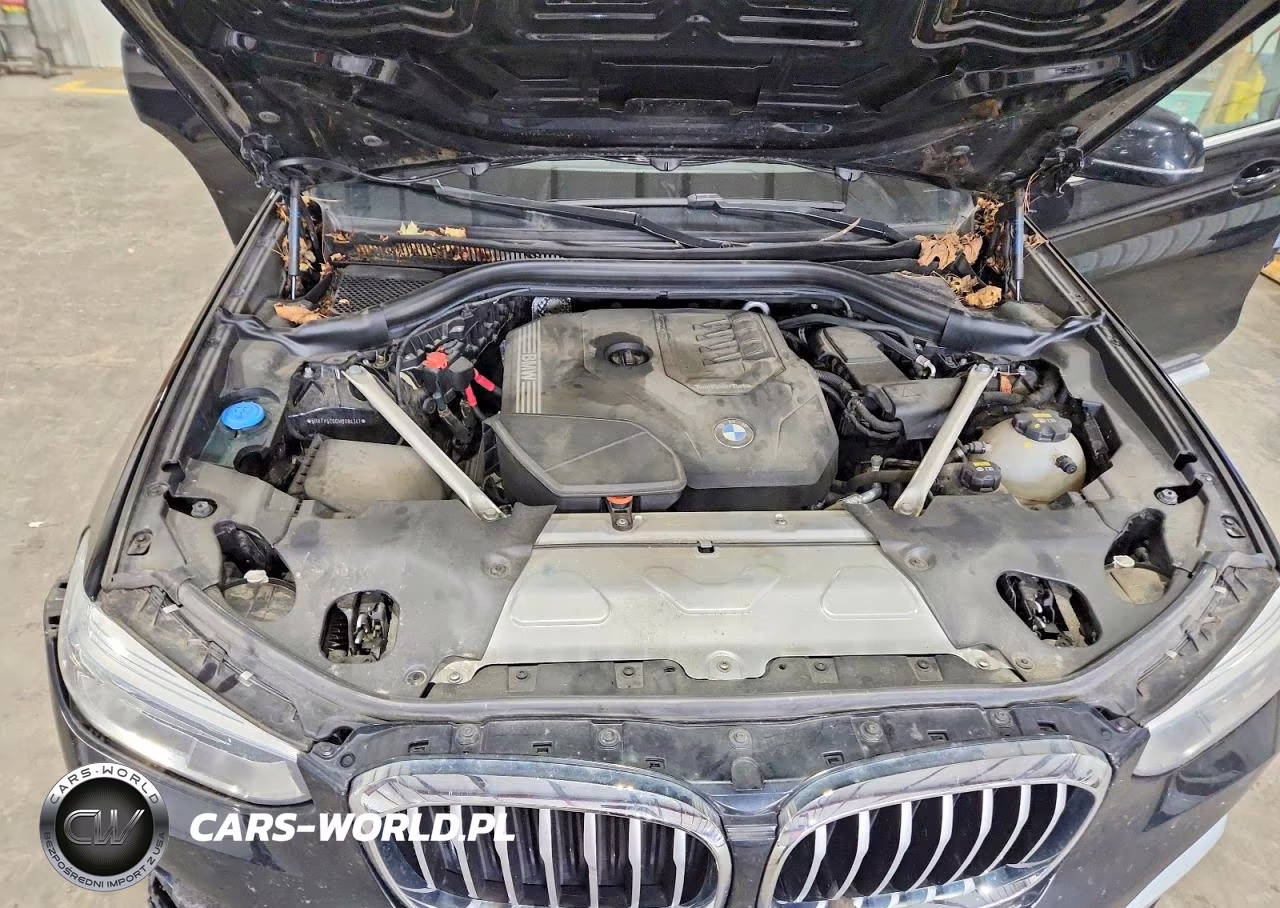 2021 BMW X3 xDrive30I VIN:5UXTY5C00M9G84341 - 12