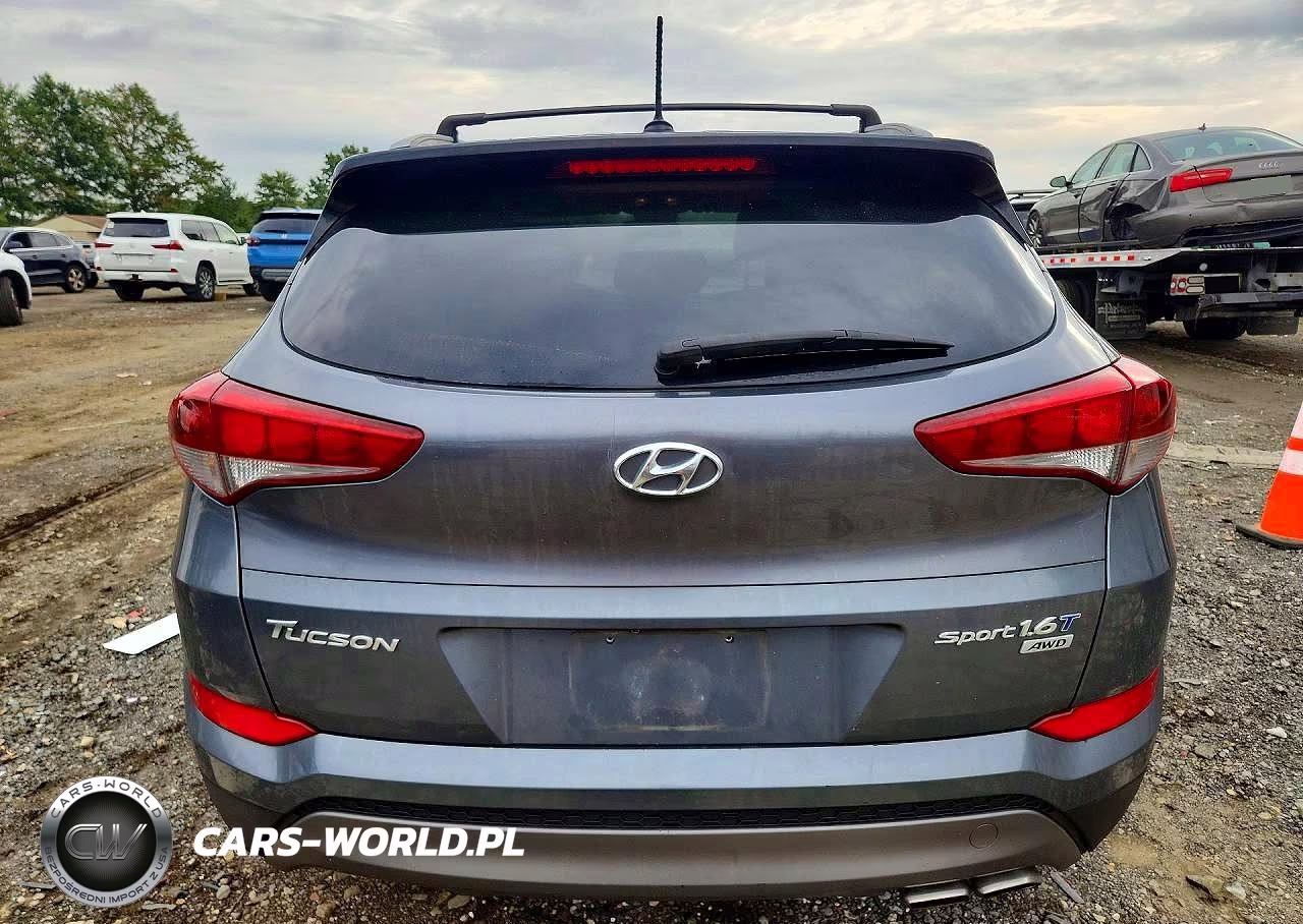 2016 Hyundai Tucson Sport VIN:KM8J3CA28GU233197 - 6