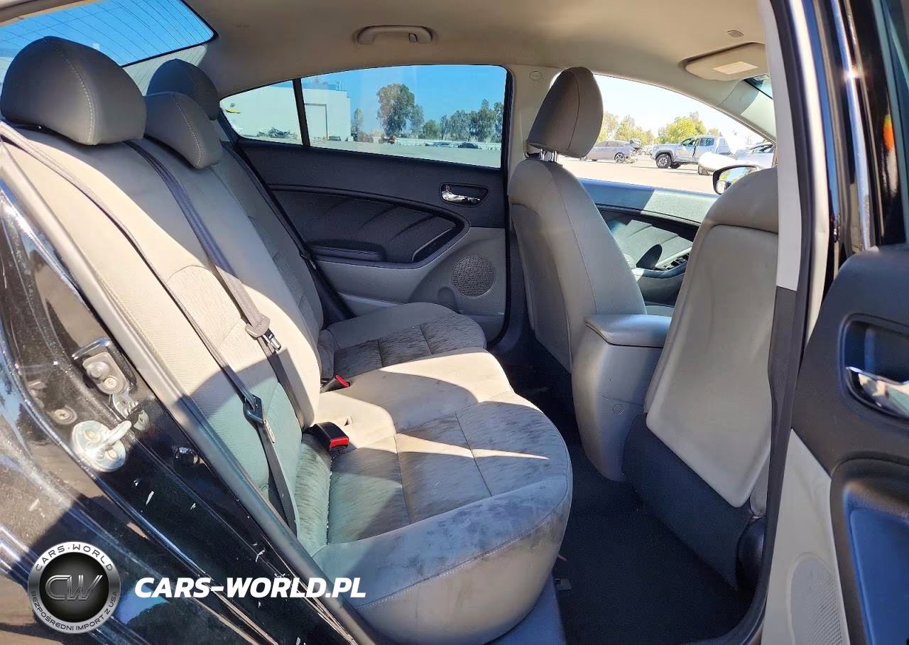 2016 Kia Forte Lx VIN:KNAFK4A66G5550571 - 10