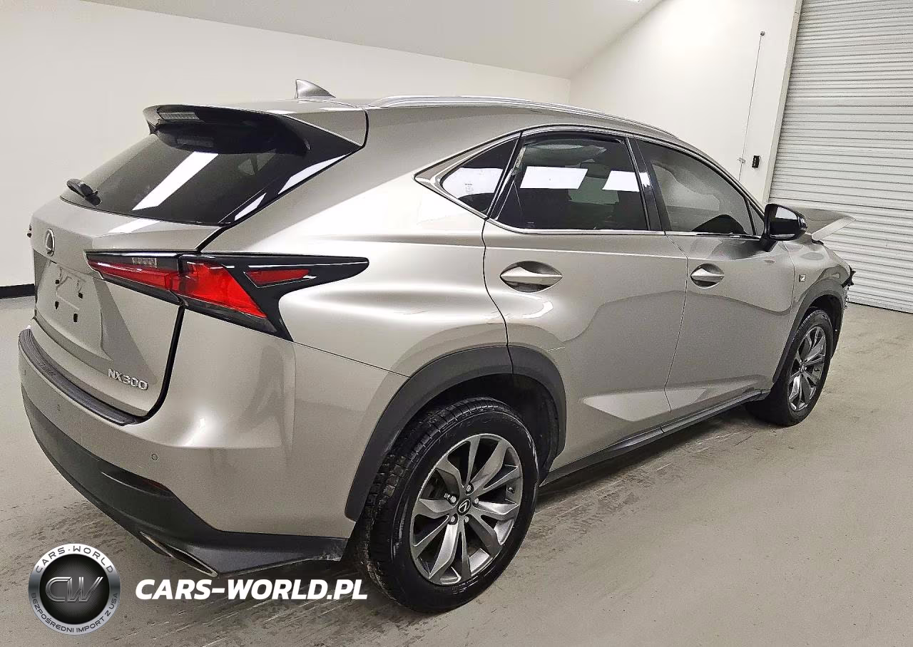 2019 Lexus Nx 300 F Sport VIN:JTJYARBZ2K2152303 - 3