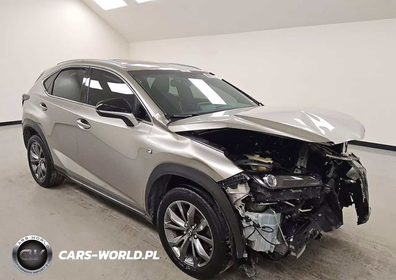 2019 Lexus Nx 300 F Sport VIN:JTJYARBZ2K2152303 - 4