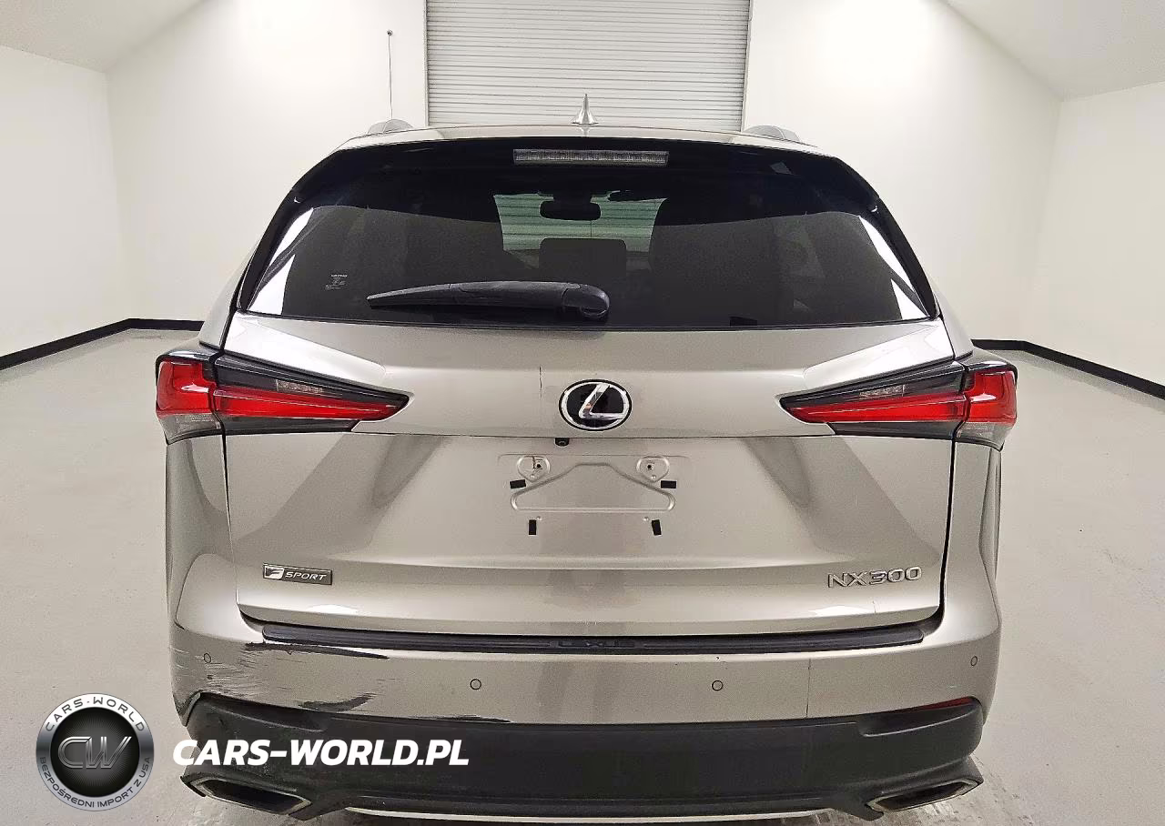 2019 Lexus Nx 300 F Sport VIN:JTJYARBZ2K2152303 - 6