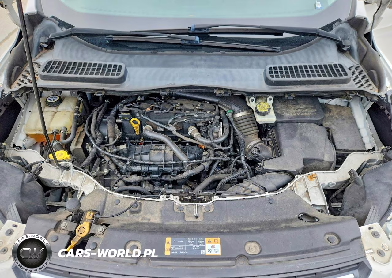 2014 Ford Escape Se VIN:1FMCU0GX2EUB05087 - 12