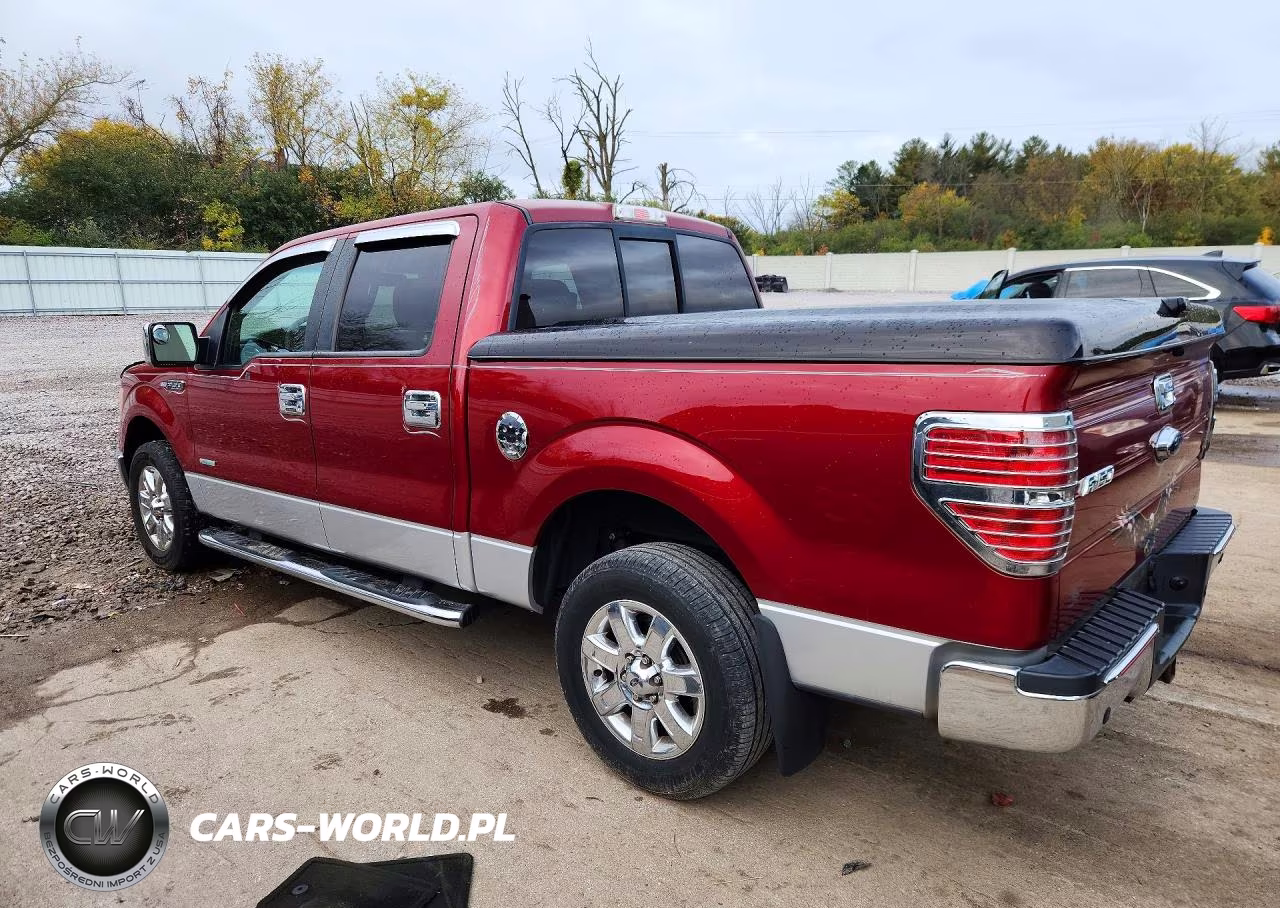 2013 Ford F150 Supercrew VIN:1FTFW1CT9DKG41713 - 2