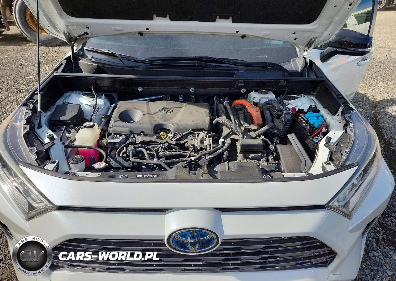 2019 Toyota Rav4 Xse VIN:JTMEWRFV0KD511778 - 12