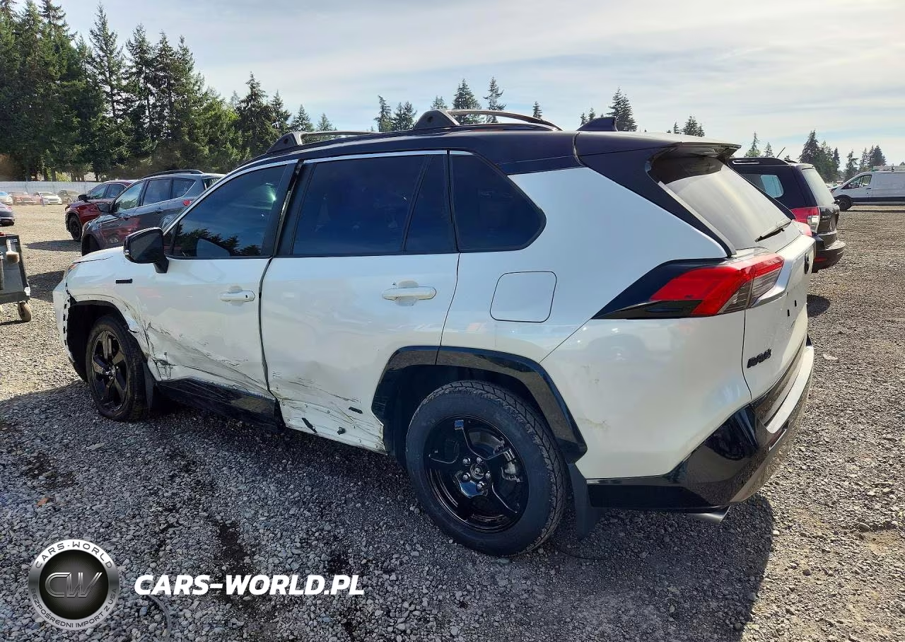 2019 Toyota Rav4 Xse VIN:JTMEWRFV0KD511778 - 2
