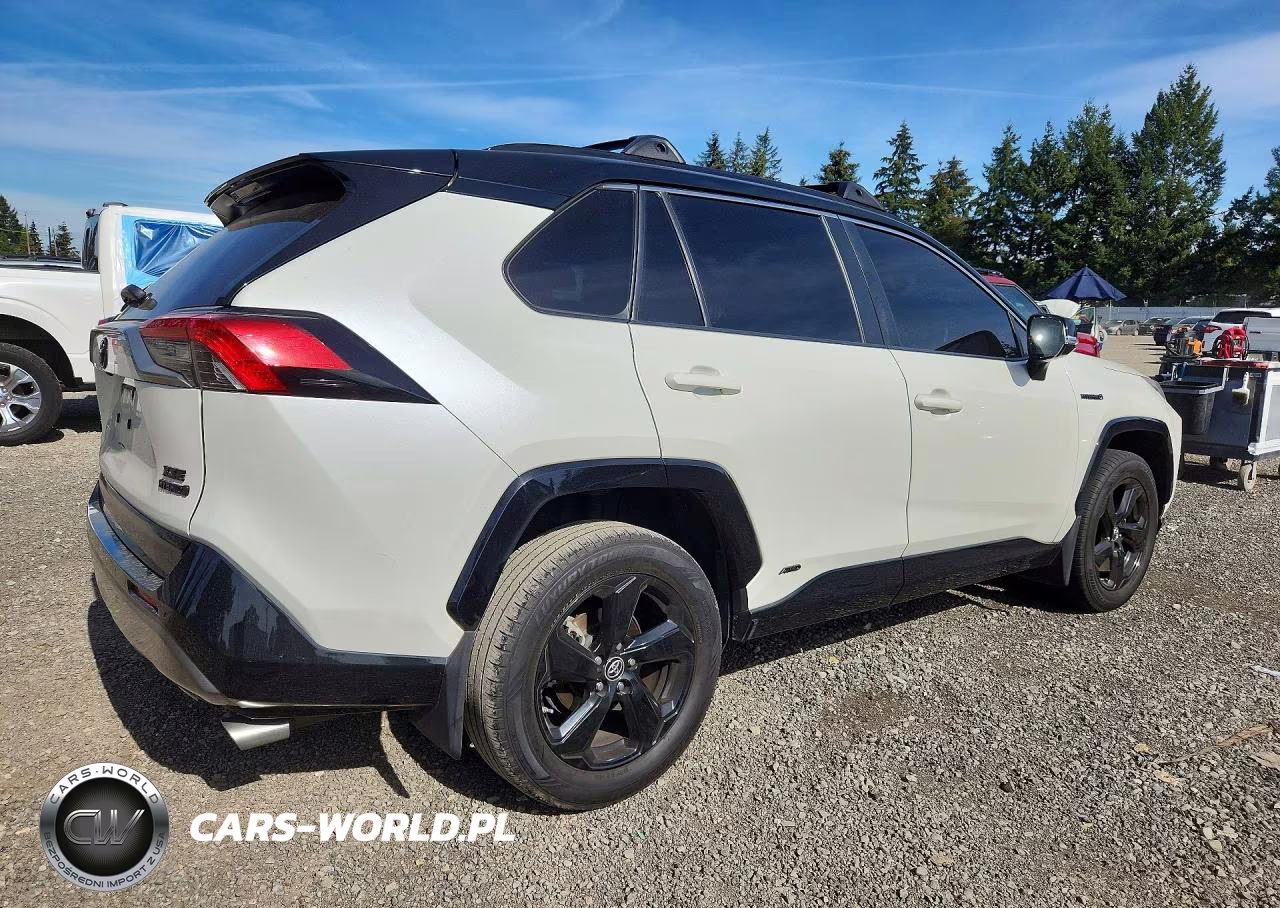 2019 Toyota Rav4 Xse VIN:JTMEWRFV0KD511778 - 3