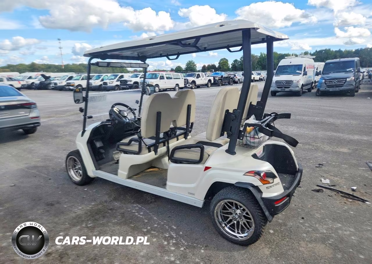 2021 Star Ev Golf Cart VIN:52RG31227MG012153 - 3