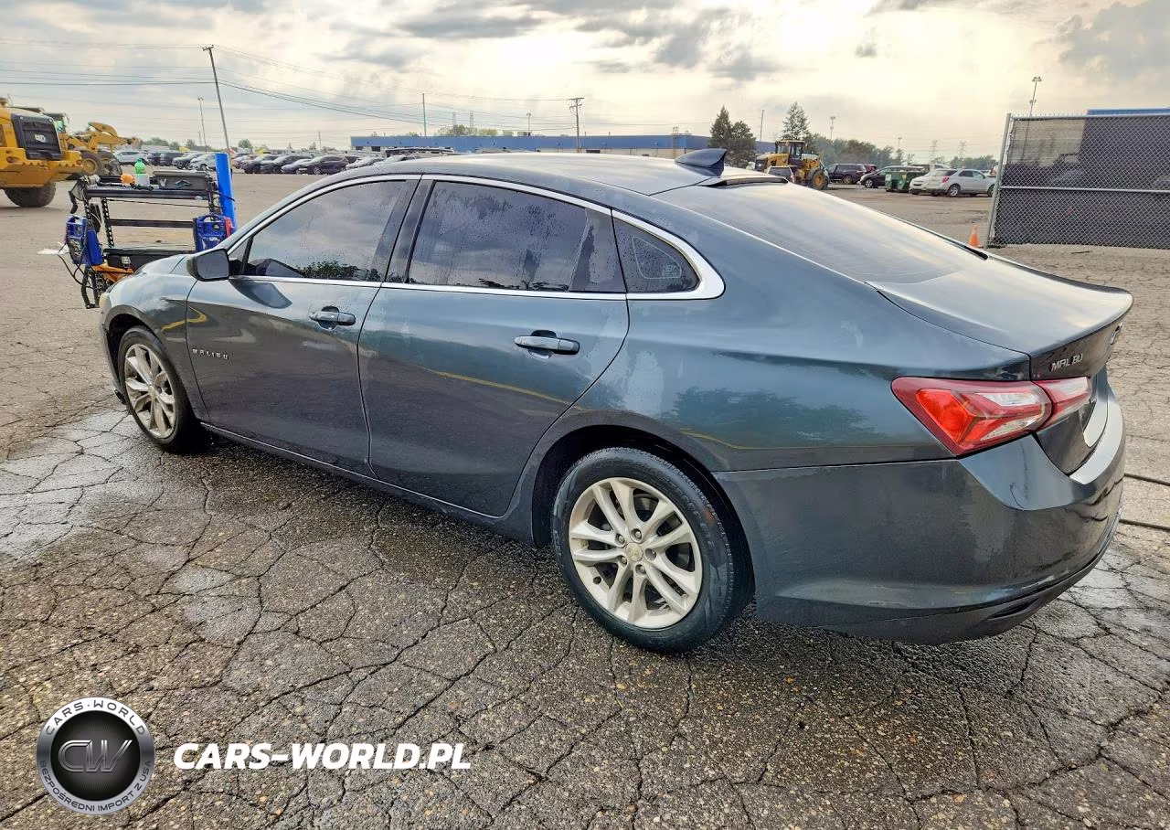 2019 Chevrolet Malibu Lt VIN:1G1ZD5ST1KF172479 - 2