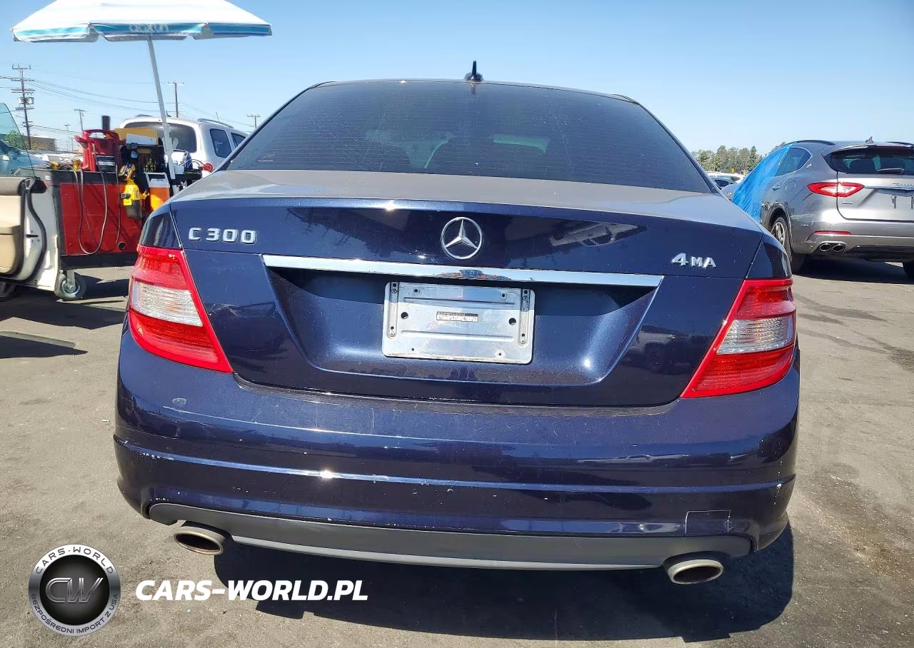 2010 Mercedes-Benz C 300 4Matic VIN:WDDGF8BB5AR093448 - 6