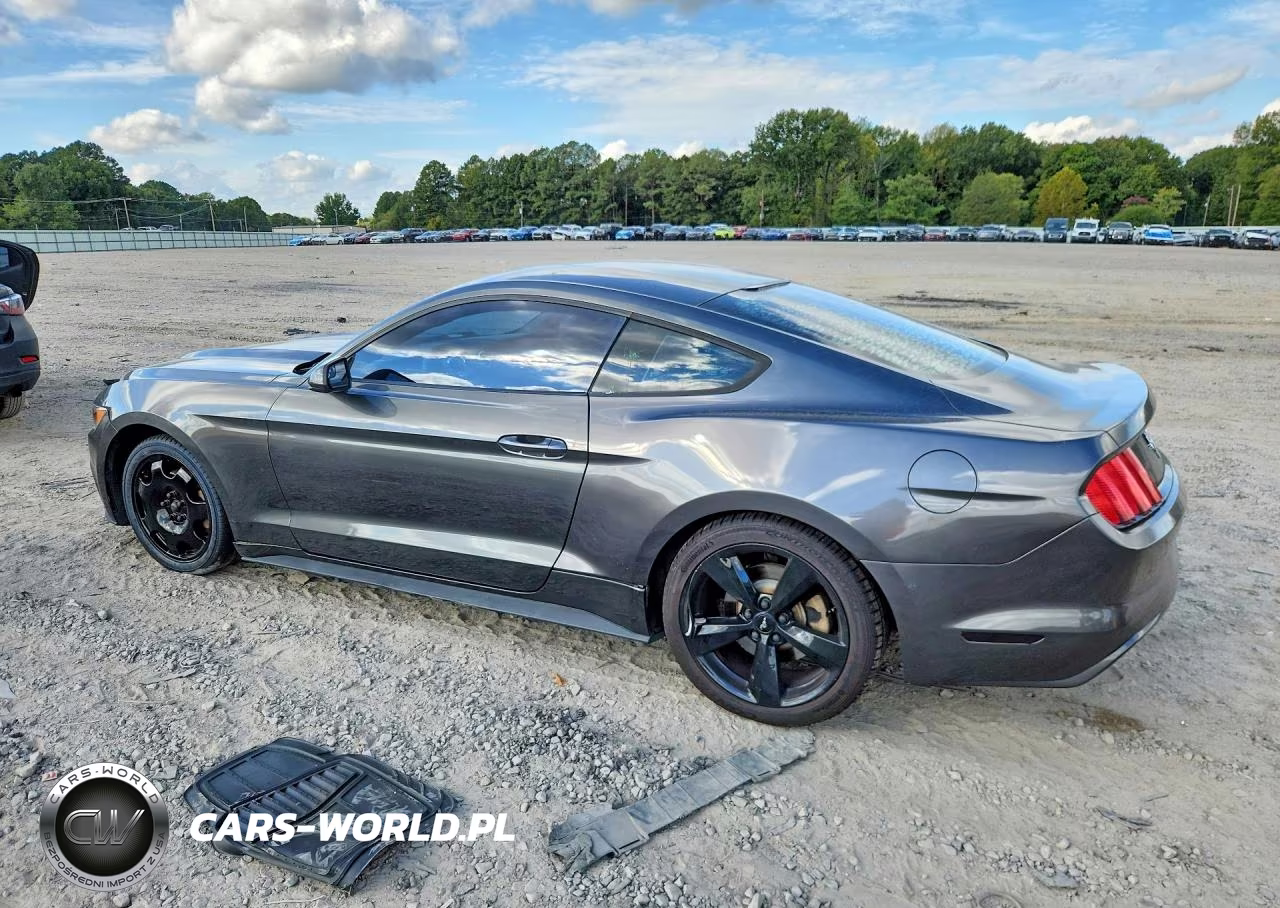 2017 Ford Mustang VIN:1FA6P8AM0H5263485 - 2