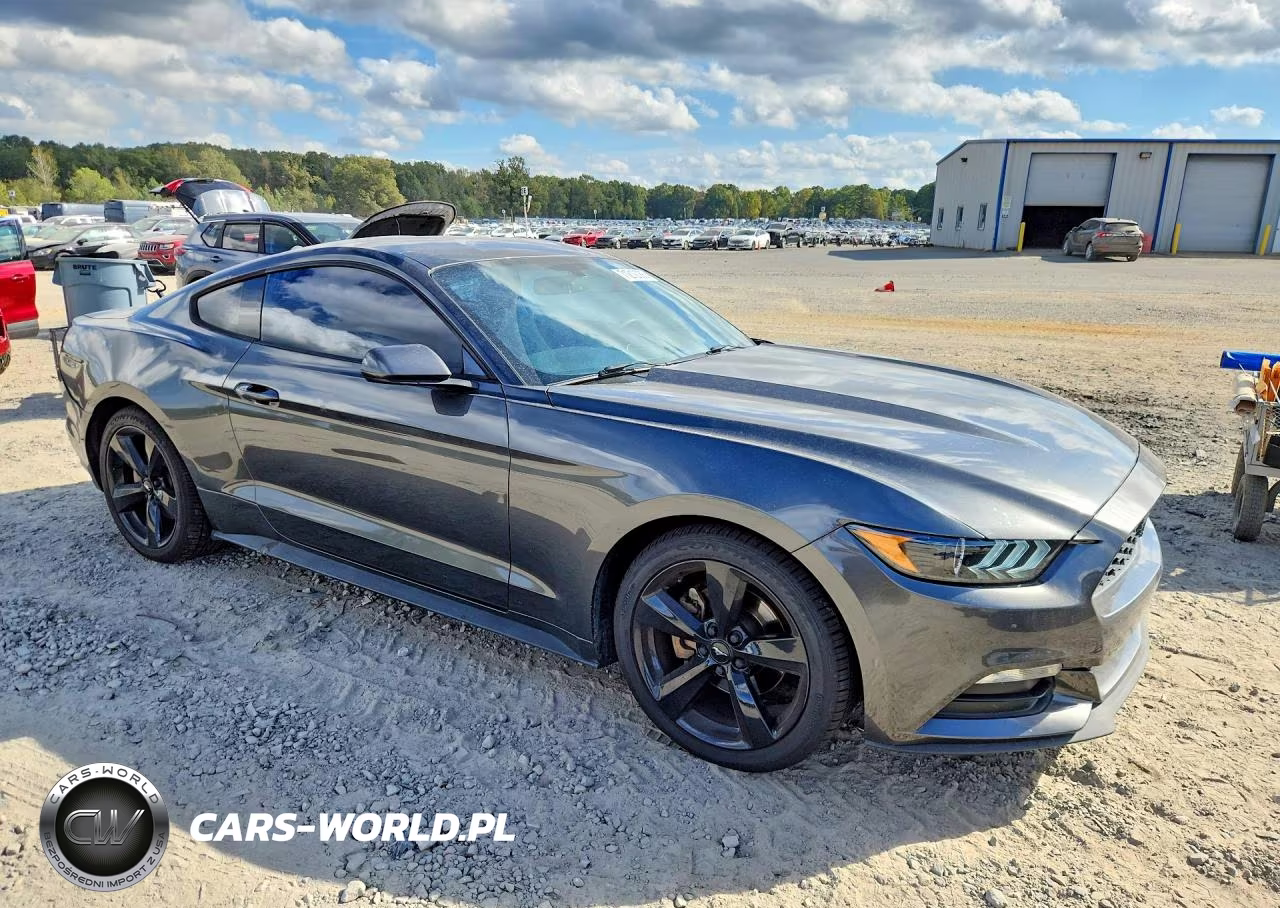 2017 Ford Mustang VIN:1FA6P8AM0H5263485 - 4