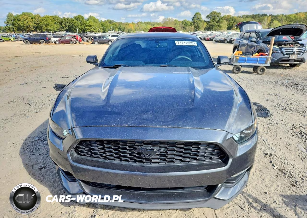 2017 Ford Mustang VIN:1FA6P8AM0H5263485 - 5