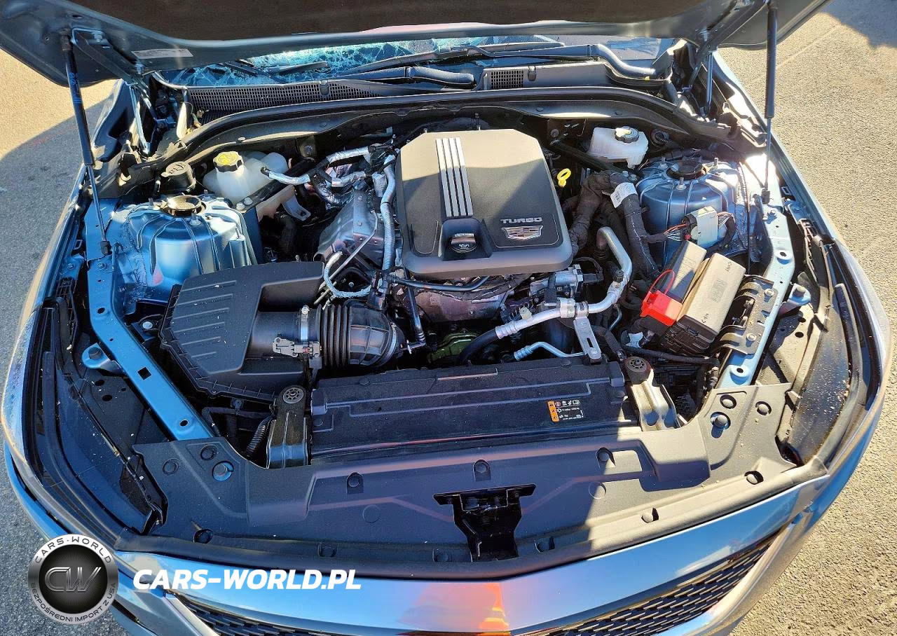 2024 Cadillac Ct5 Luxury VIN:1G6DM5RK0R0102986 - 11
