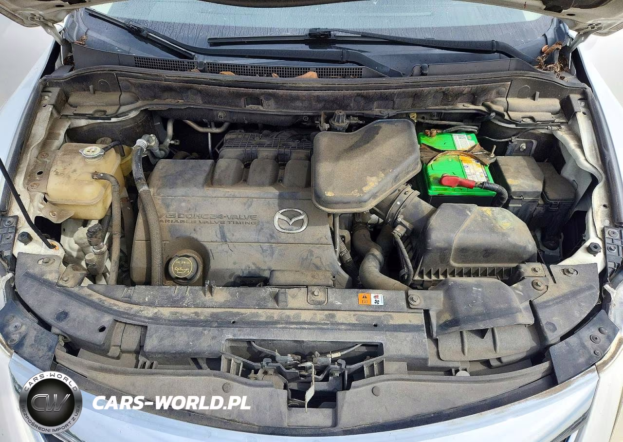 2010 Mazda Cx-9 VIN:JM3TB2MA4A0228680 - 11