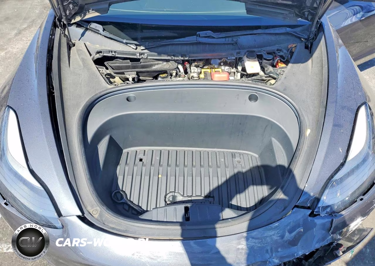 2021 Tesla Model 3 VIN:5YJ3E1EA4MF994732 - 11