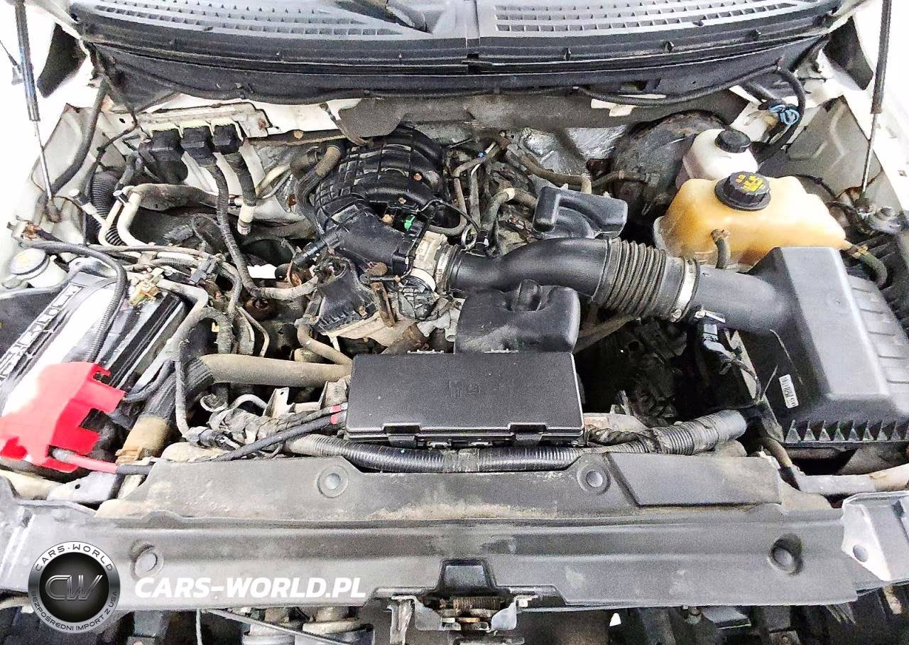 2012 Ford F150 VIN:1FTMF1CM6CFD02284 - 11
