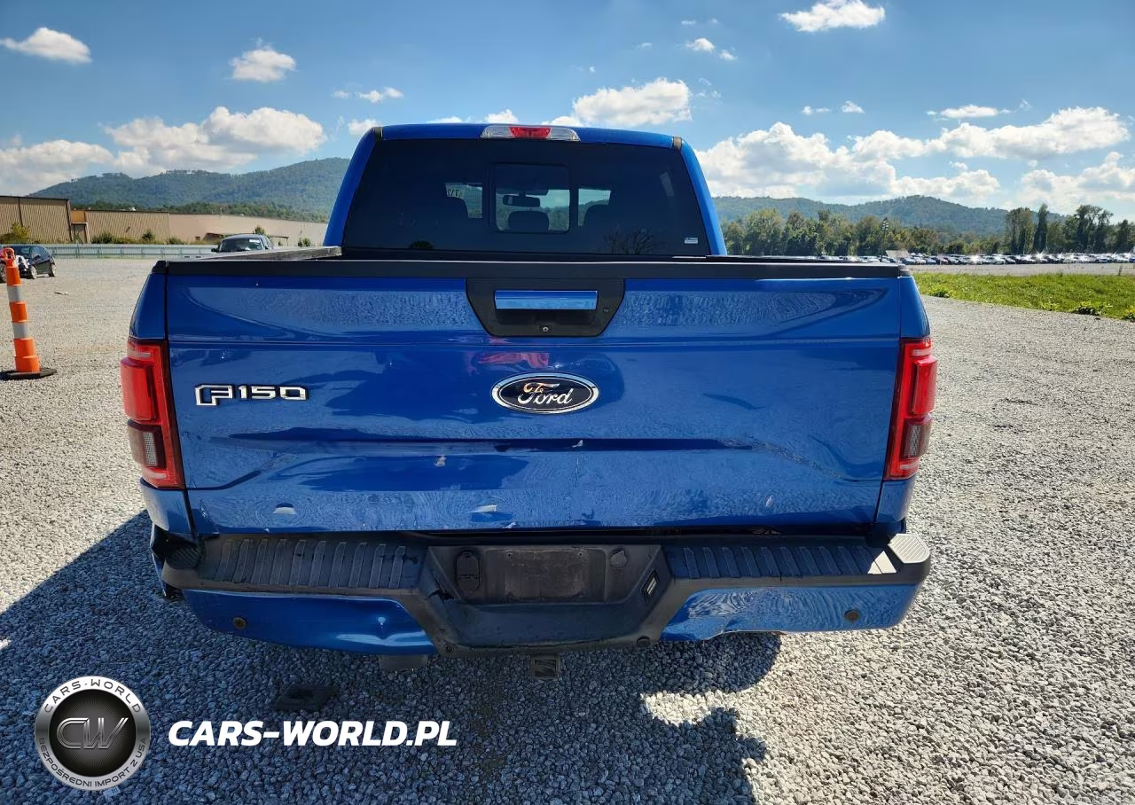 2016 Ford F150 Supercrew VIN:1FTEW1EG7GFB93108 - 6
