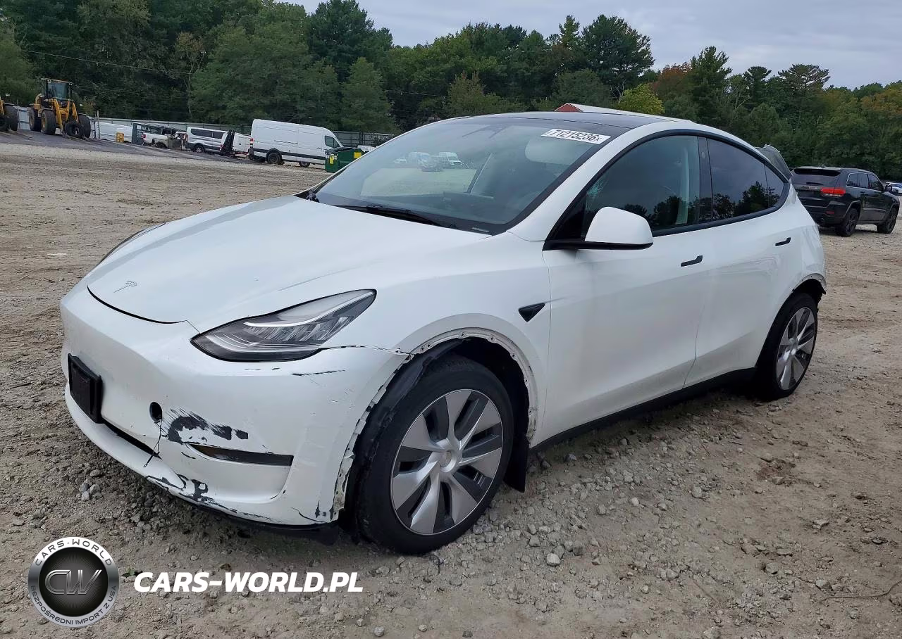 2023 Tesla Model Y VIN:7SAYGDEE4PA115478 - 1