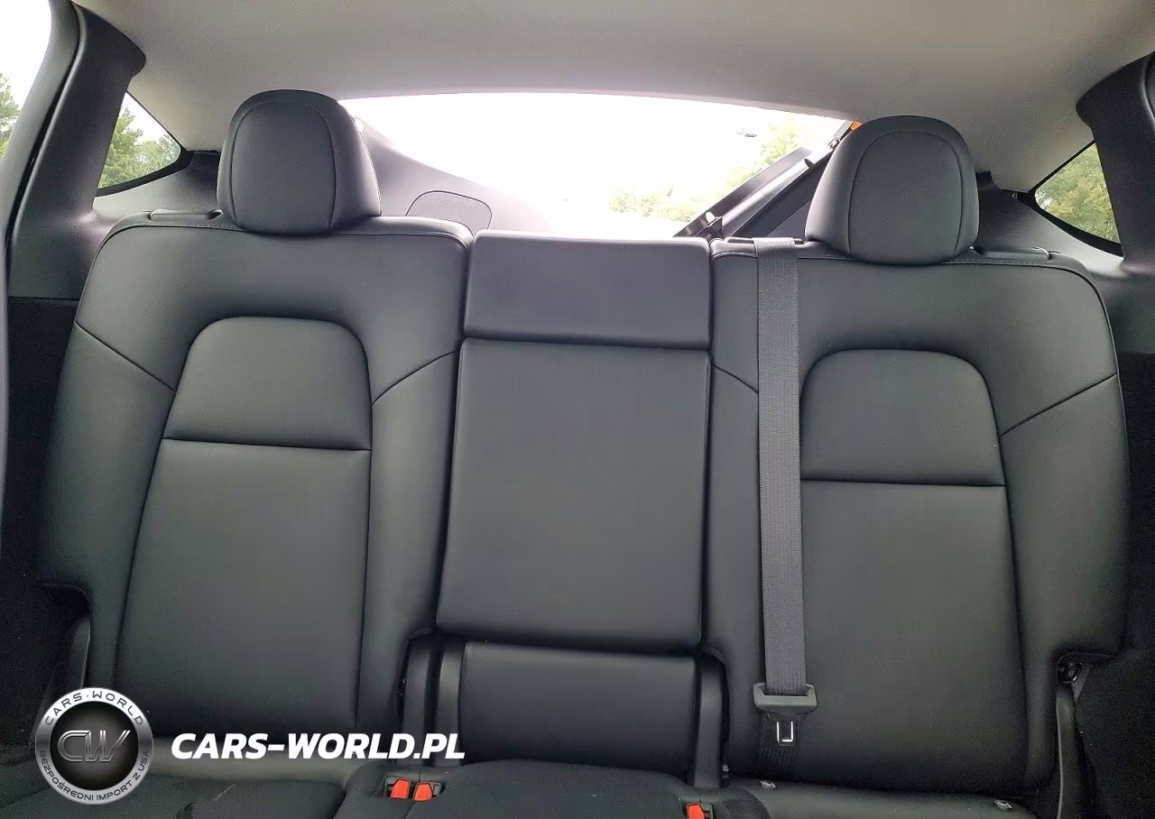 2023 Tesla Model Y VIN:7SAYGDEE4PA115478 - 10