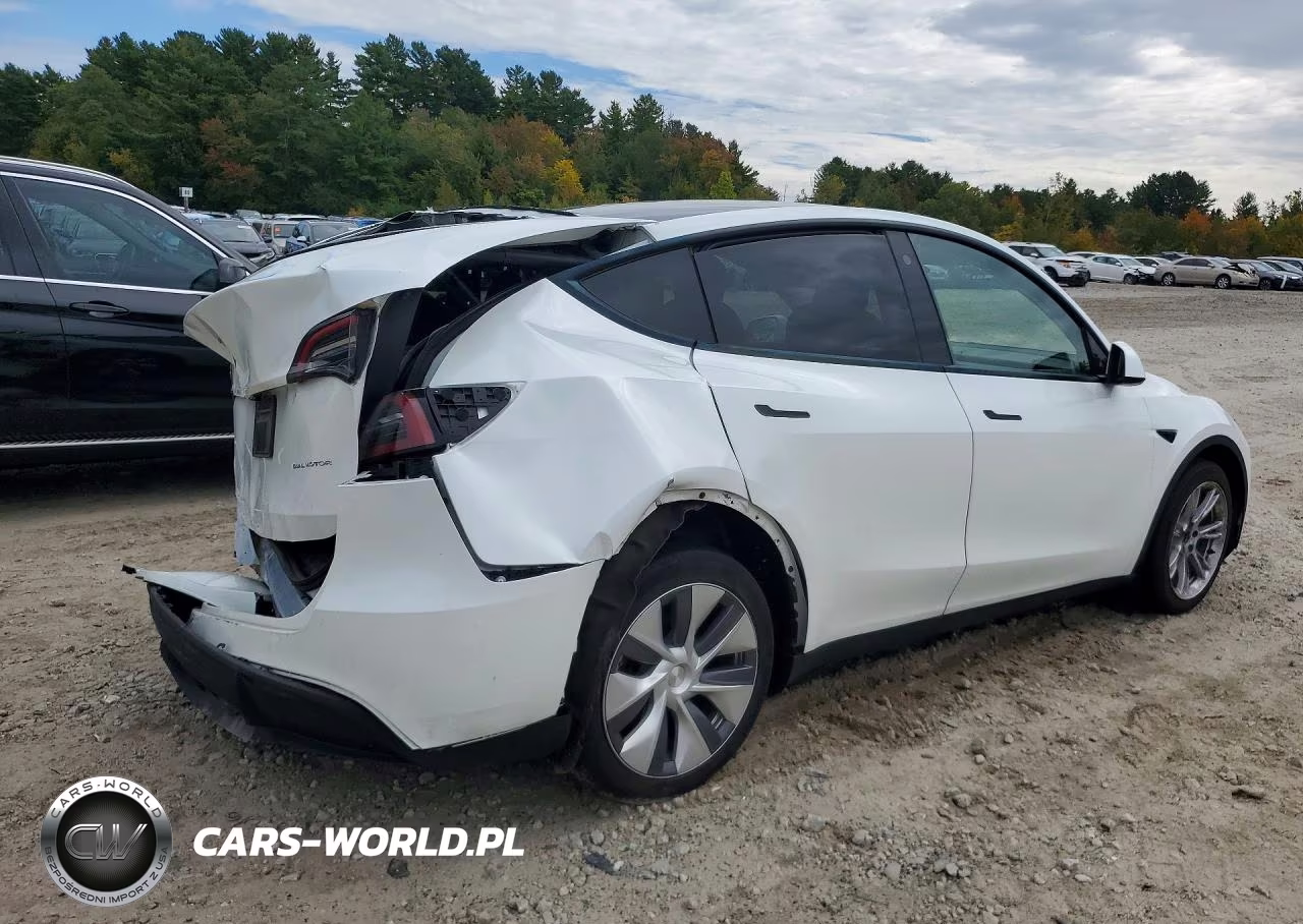 2023 Tesla Model Y VIN:7SAYGDEE4PA115478 - 3
