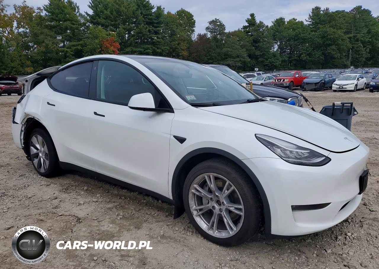 2023 Tesla Model Y VIN:7SAYGDEE4PA115478 - 4