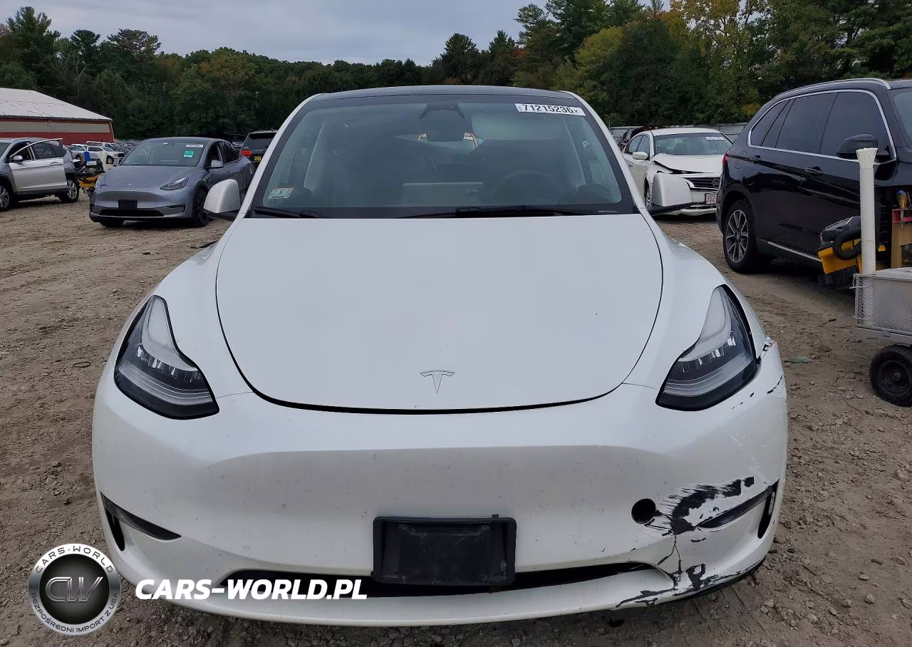 2023 Tesla Model Y VIN:7SAYGDEE4PA115478 - 5
