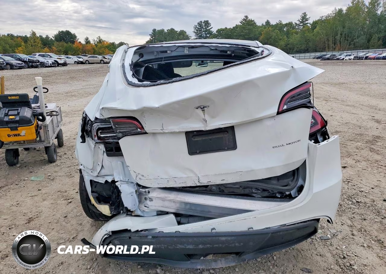 2023 Tesla Model Y VIN:7SAYGDEE4PA115478 - 6