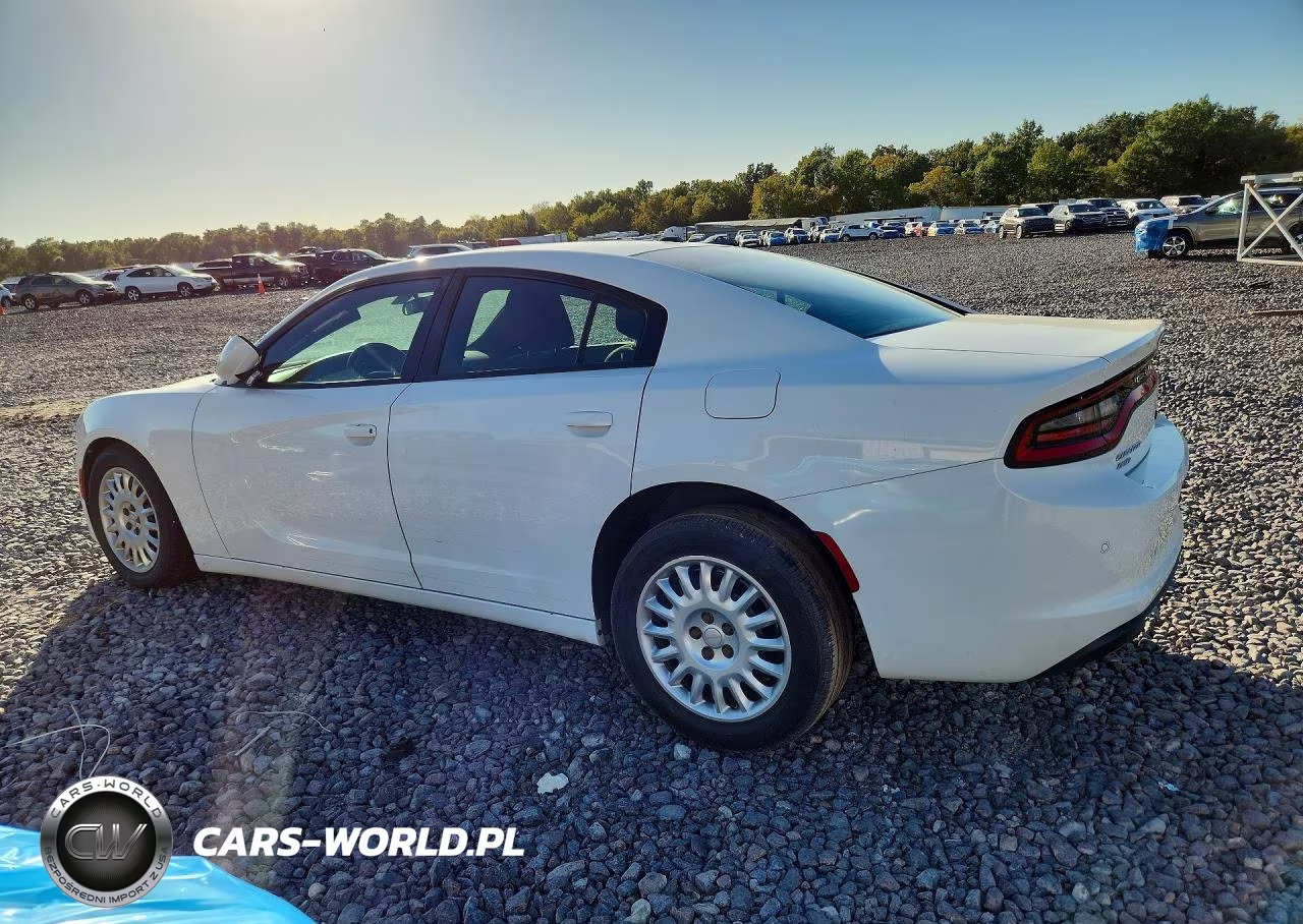 2020 Dodge Charger Police VIN:2C3CDXKTXLH111953 - 2