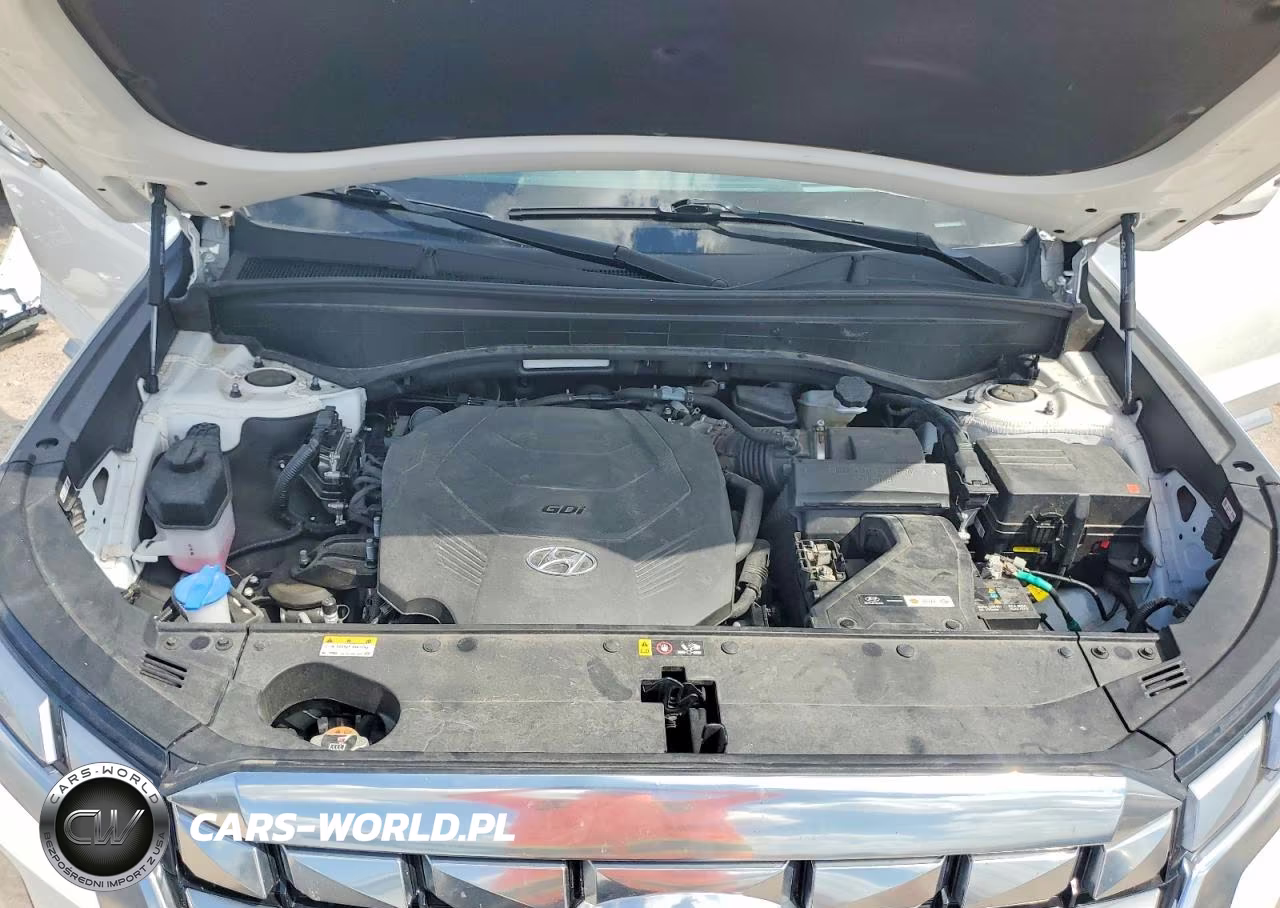2024 Hyundai Palisade Calligraphy VIN:KM8R74GE1RU802036 - 12