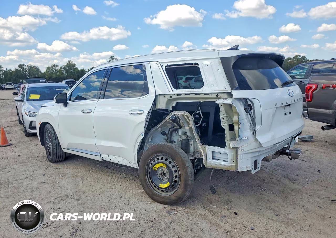 2024 Hyundai Palisade Calligraphy VIN:KM8R74GE1RU802036 - 2