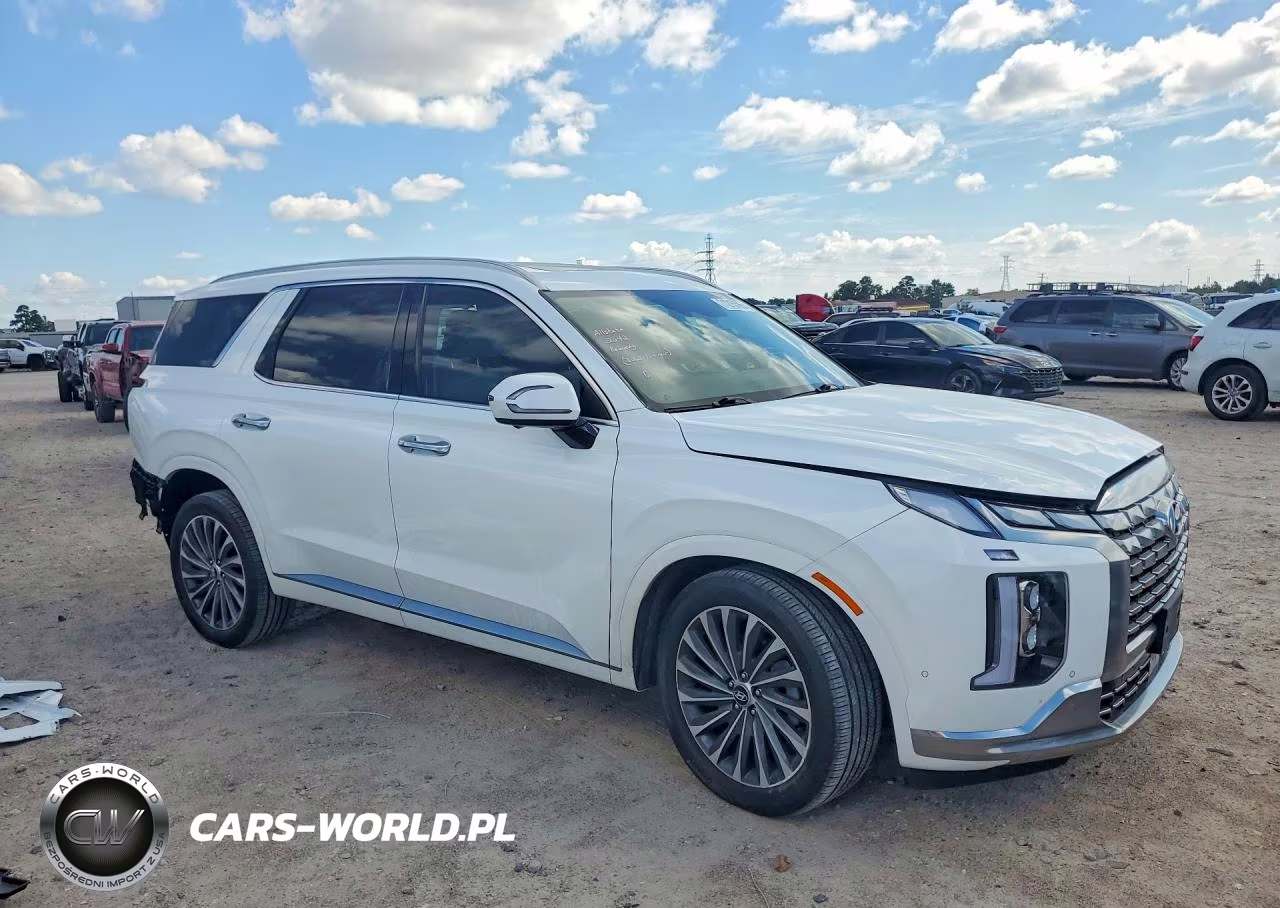 2024 Hyundai Palisade Calligraphy VIN:KM8R74GE1RU802036 - 4